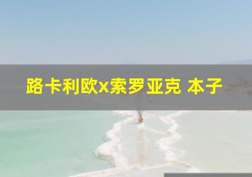 路卡利欧x索罗亚克 本子